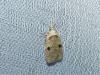 Agonopterix propinquella